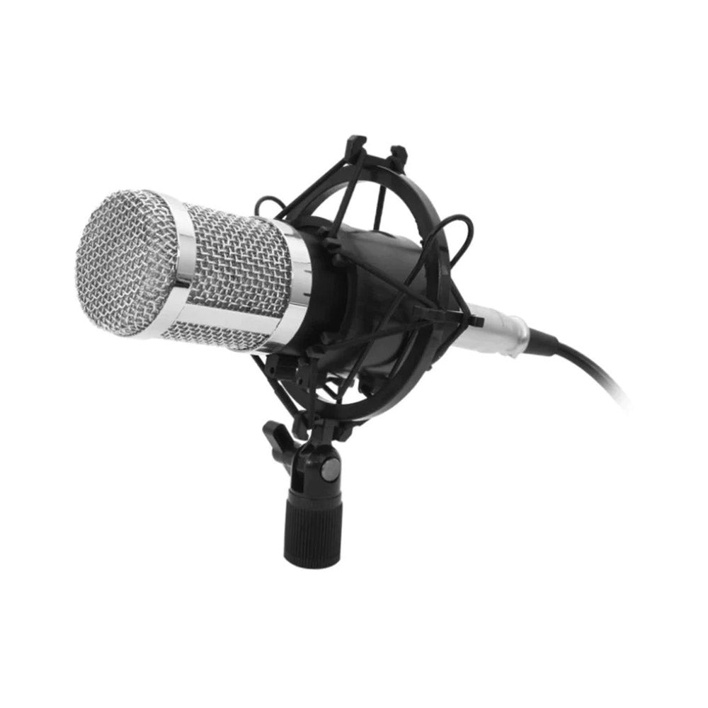 Microfono Philco Studio 31451 de condensador Hi Fi + Soporte