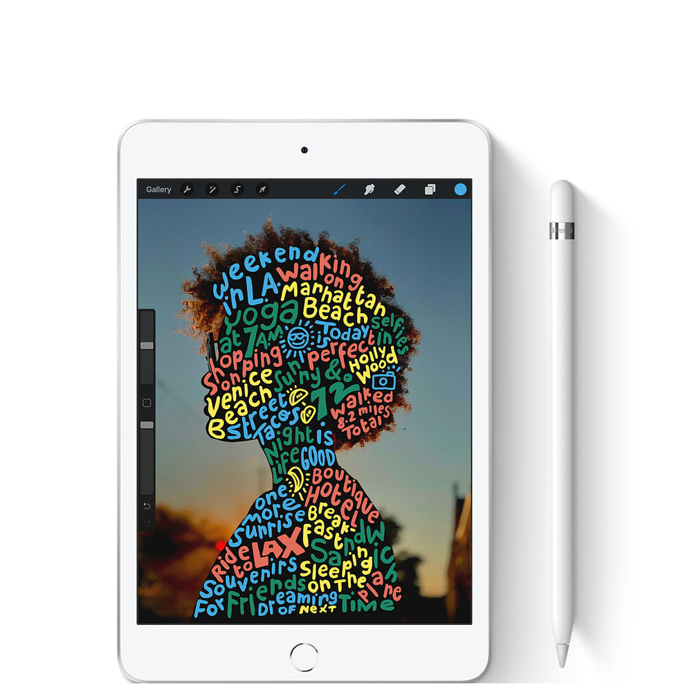 Apple iPad Mini 5 WiFi 64 Gb plata